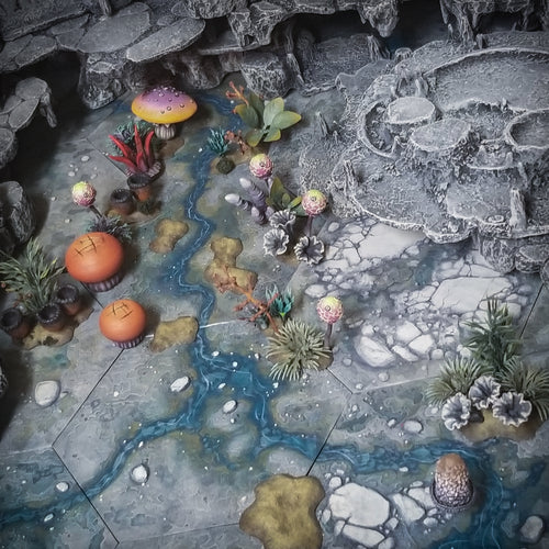 the Complete Fungal Forest